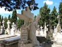 Valladolid - Cementerio (161)