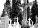 Valladolid - Cementerio (169)