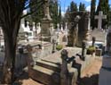 Valladolid - Cementerio (177)