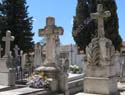 Valladolid - Cementerio (202)