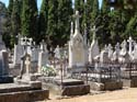 Valladolid - Cementerio (241)