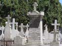 Valladolid - Cementerio (249)