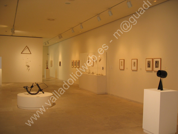 Valladolid - Patio Herreriano - Museo de Arte Contemporaneo 032 2009
