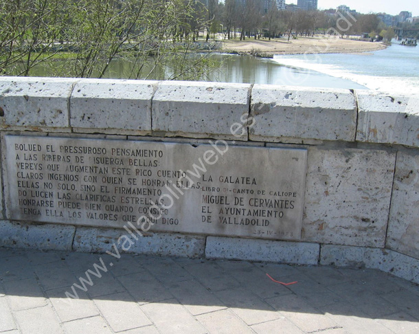 Valladolid - Puente Mayor 005 2010