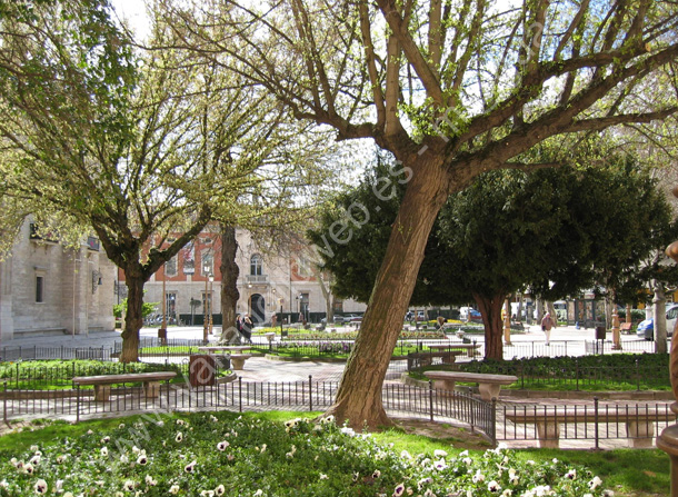 Valladolid - Plaza de Santa Cruz 006 2010